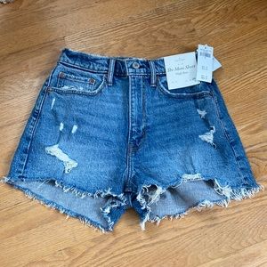 NWT Abercrombie and Fitch Curve Love Mom Shorts Size 26
